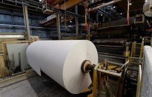 Paper mill-275819100-1584607676